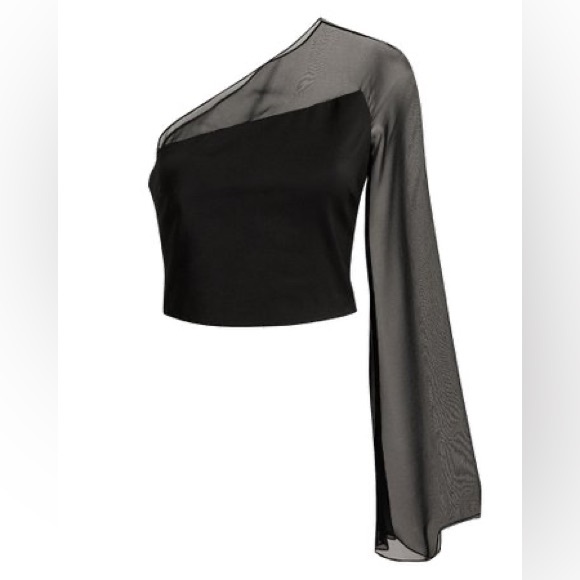 Cushnie Et Ochs Tops - Cushnie Et Ochs One Shoulder Sheer Silk Sleeve Top